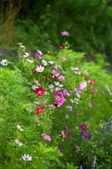 CBD9DA21-D3C7-4CF3-A858-86AED93E4306