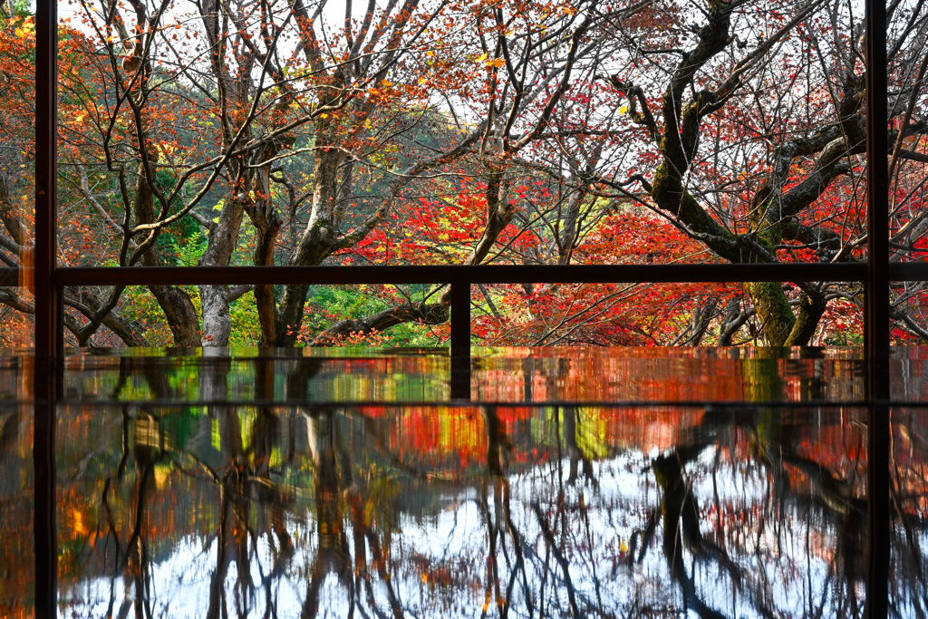 F74E91CF-C457-47E4-AAB3-0FFD370F9A34