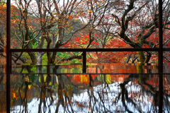 F74E91CF-C457-47E4-AAB3-0FFD370F9A34