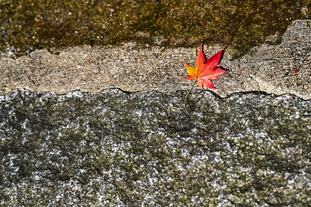 3E88F154-BE25-4CE2-9FA4-1B3FA974C452