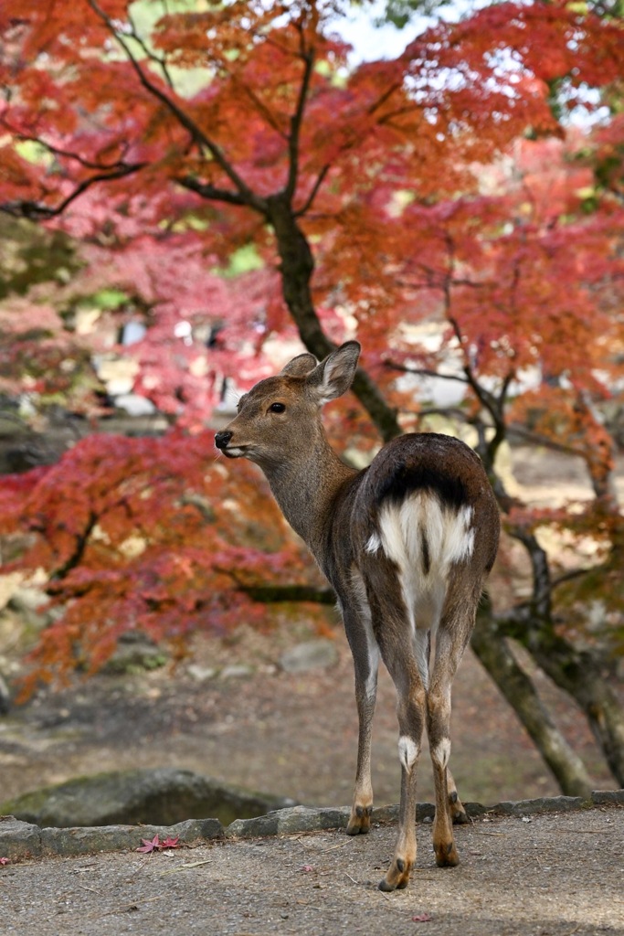 0470F2B5-BA7D-4016-9199-5A7F312671F9