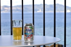 E22046B9-A76B-4D61-8AC8-6815159C0580