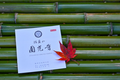 F15B6ED5-90BC-460D-A914-AA0E2BC0CF7B