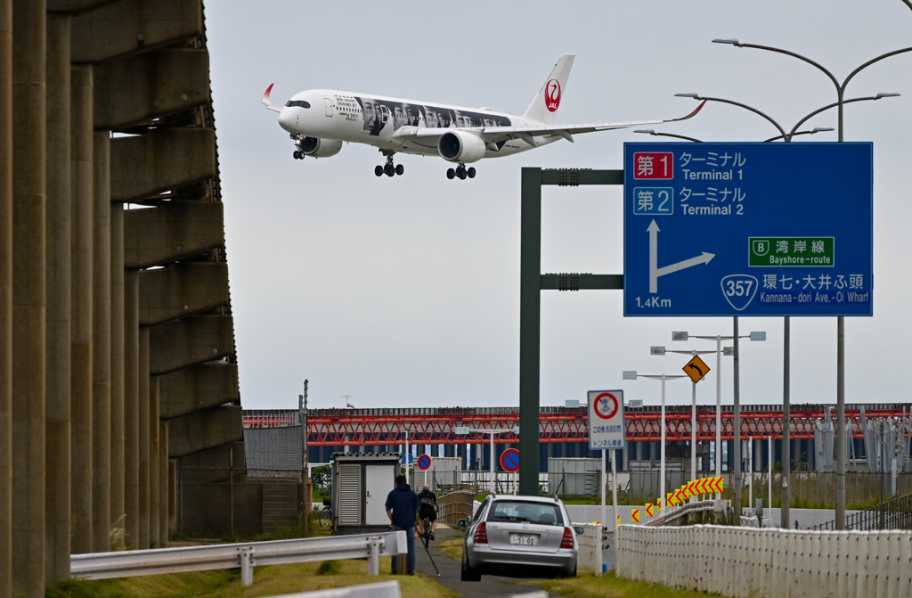 3C32905E-6921-4A03-AC58-A627F96D60E5