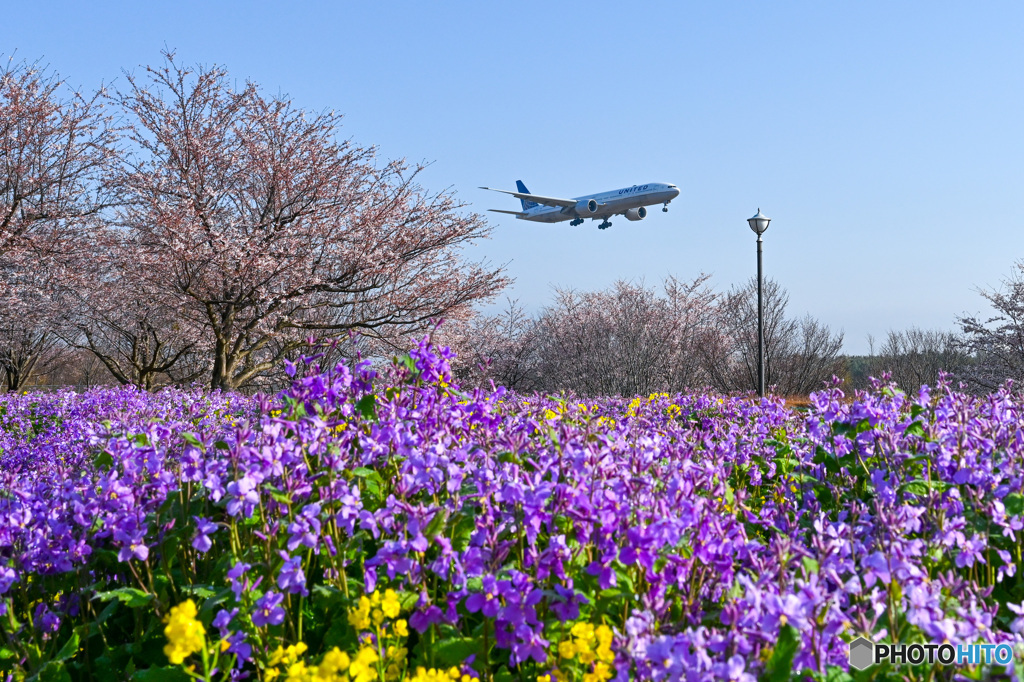 桜16Rへのランディング6