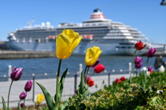 C07333BC-5660-419B-B845-D3EB84BC1625