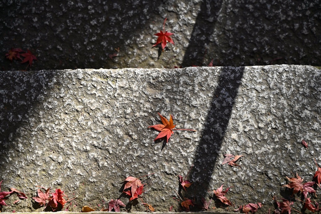 FC31DF84-FB85-4DEA-AB37-66215FA0B445