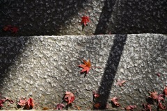 FC31DF84-FB85-4DEA-AB37-66215FA0B445