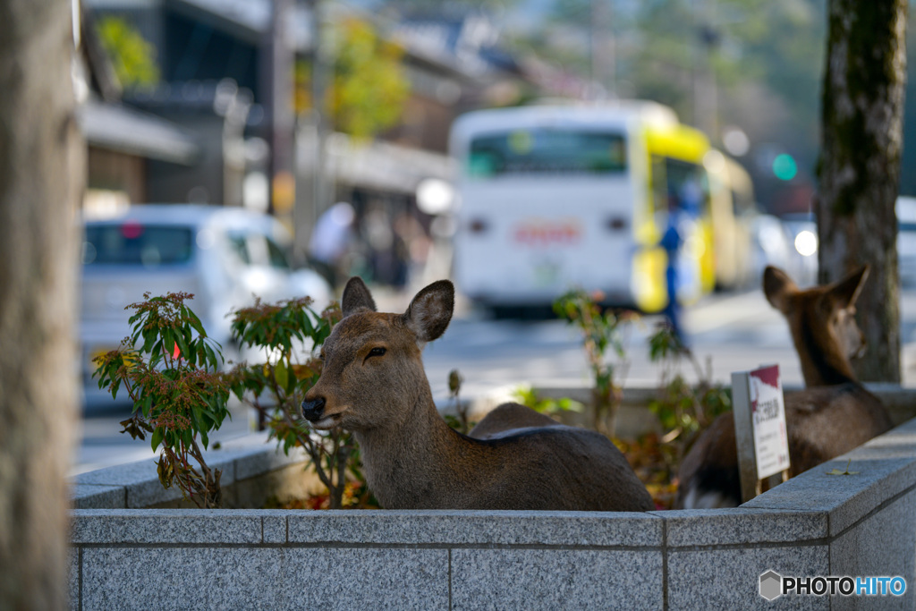 住みにくくなってきた？