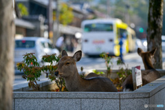 住みにくくなってきた？