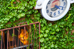 ム、ム、ム‼️