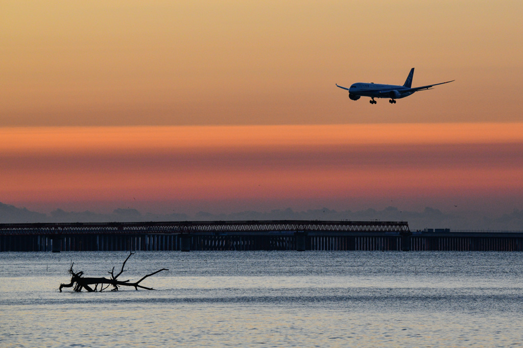 64C30EAA-ECCA-49A5-9736-14F2D8BB0AE0