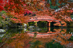 秋の水面