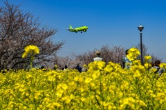 C8BC097E-E649-4372-8945-B0891B5A1716