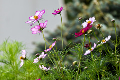 29A0030A-15AA-432B-8787-52B4162406B7