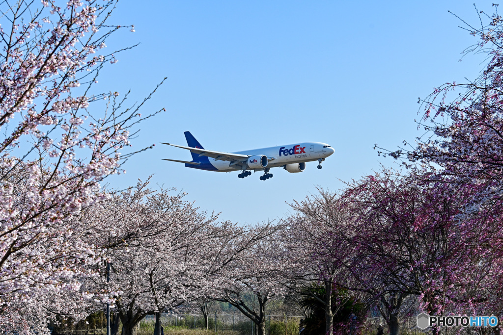 桜16Rへのランディング8