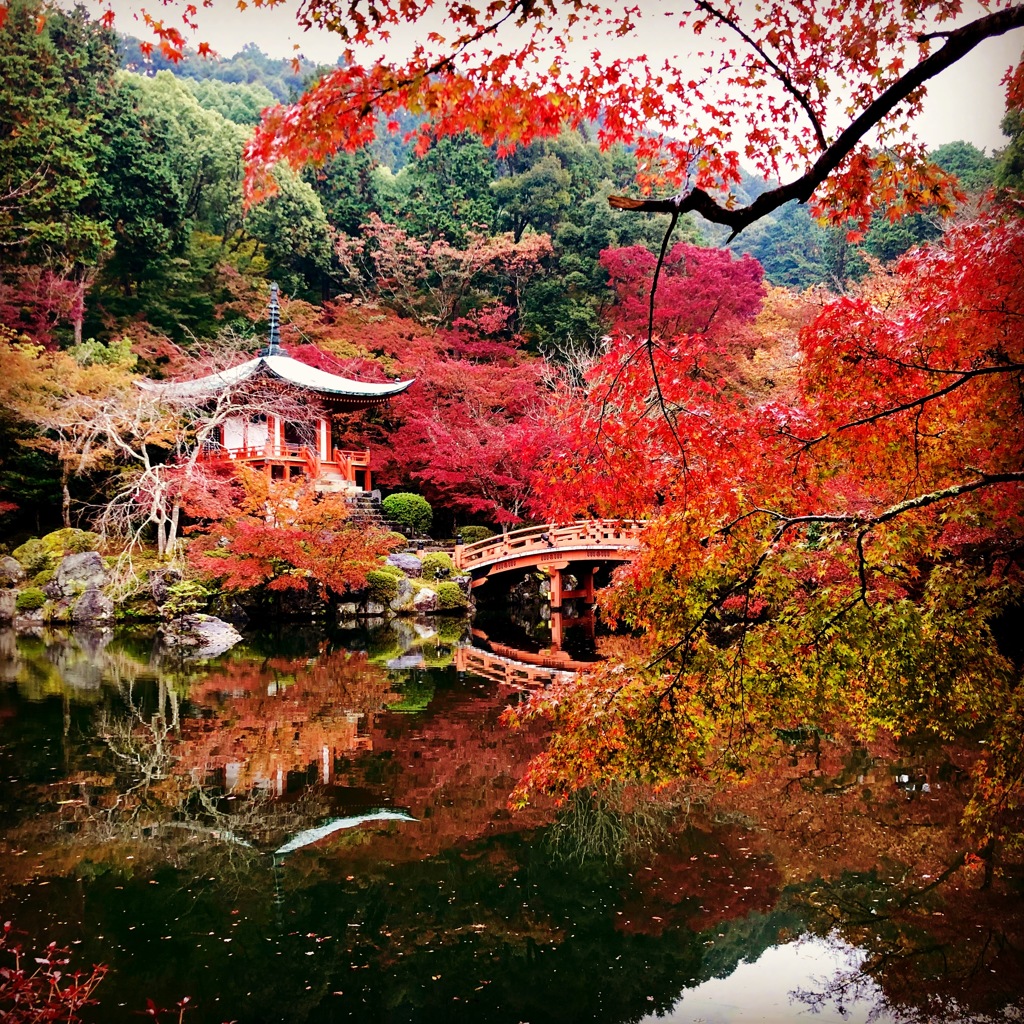 95613339-7236-49A8-A91E-9FBFF8097DEC