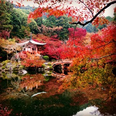 95613339-7236-49A8-A91E-9FBFF8097DEC