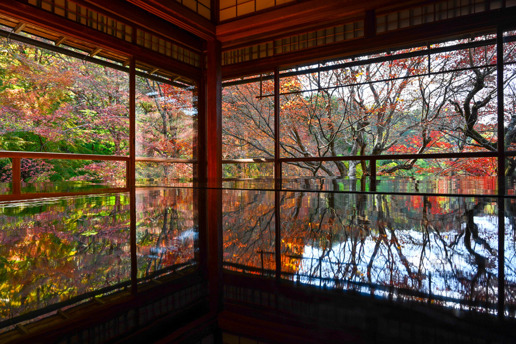 FE3EF53F-0D35-4365-B93E-DAB401219B66