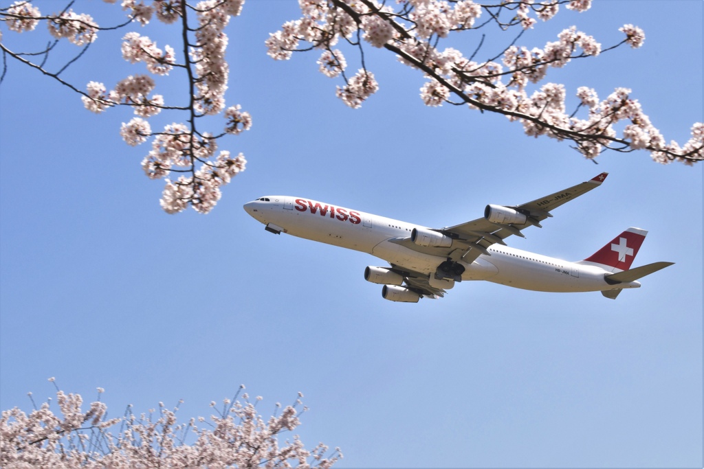 91E56B48-3C36-4E21-ADD4-B166098270C5