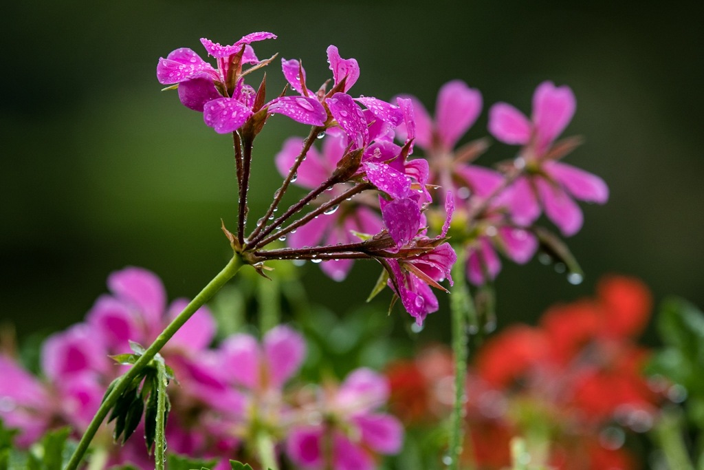 2B1138E2-717A-4247-9052-F307764957B8