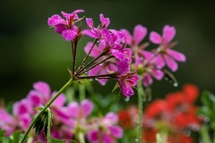 2B1138E2-717A-4247-9052-F307764957B8