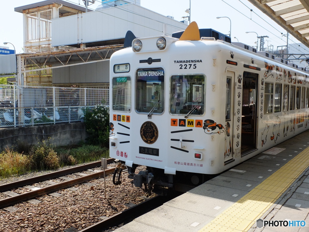 たま電車