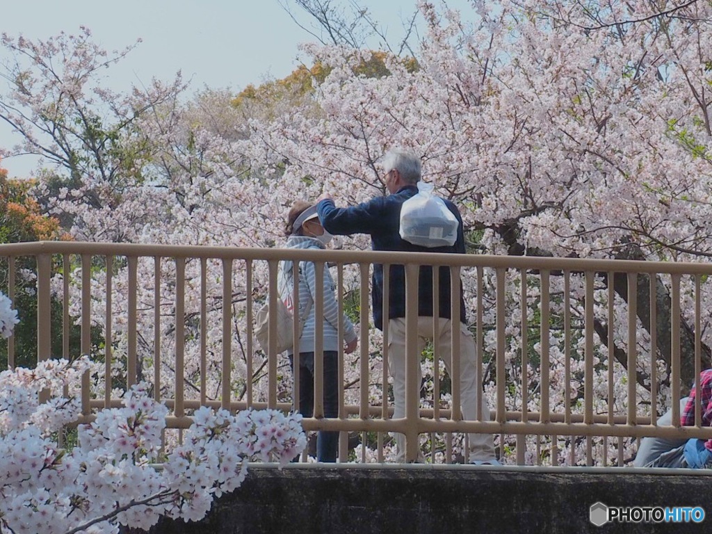 あたたかいひと時