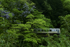 皐月鉄道