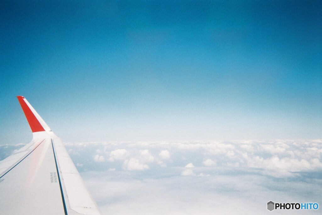 写ルンです 飛行機の窓から By Yasuuu Id 写真共有サイト Photohito