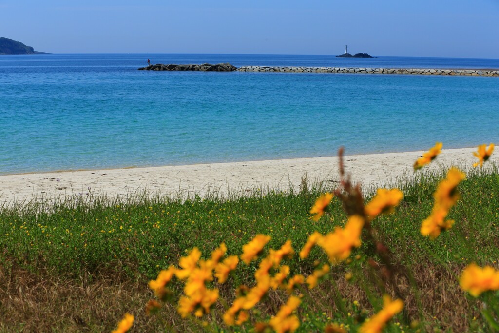 初夏の砂浜