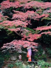 毛利庭園　時代絵巻