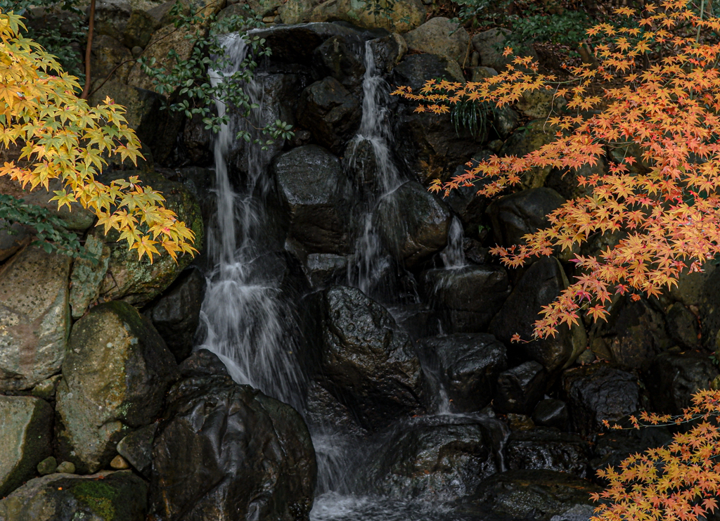 滝と紅葉