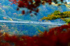 九重の大吊橋