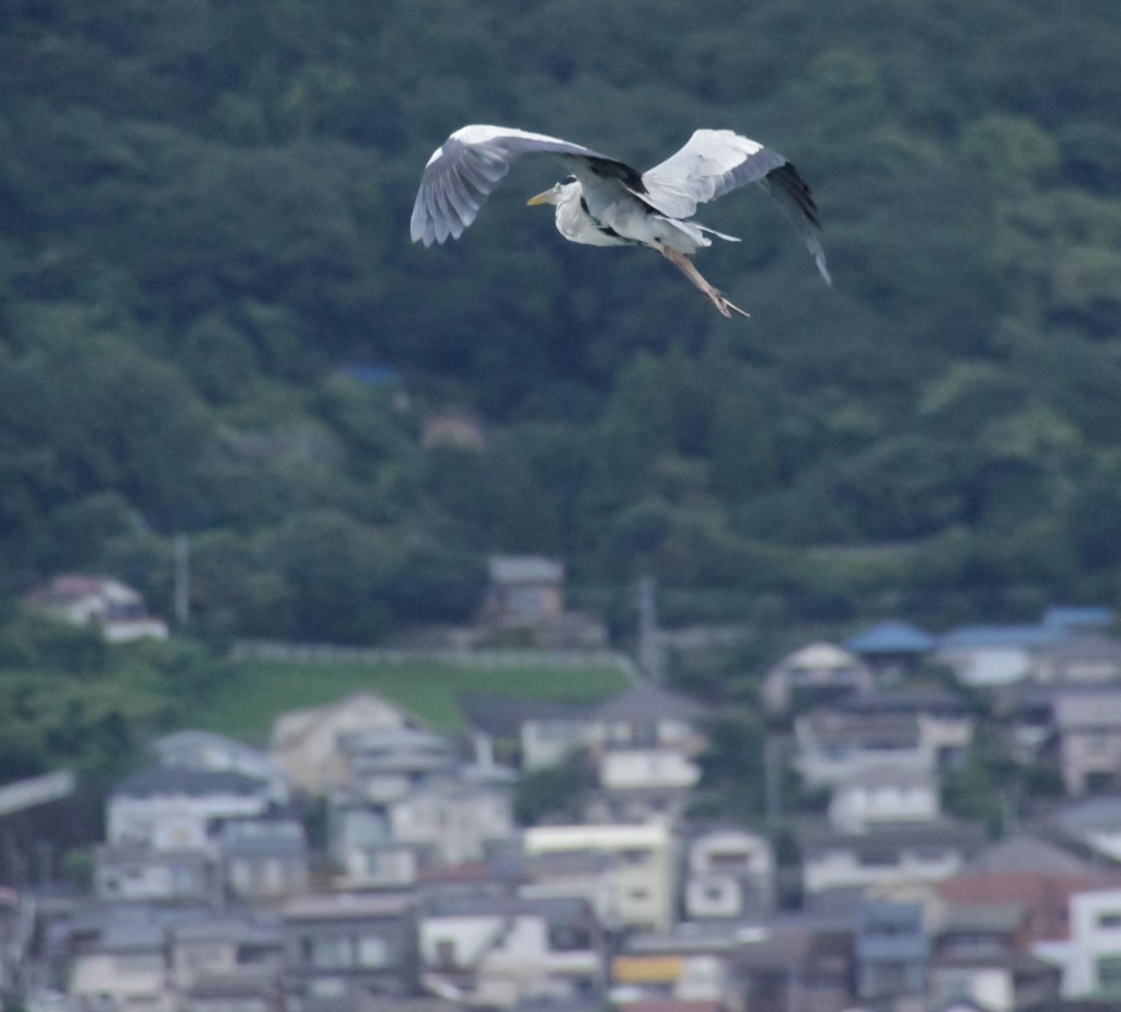 テイク　オフ