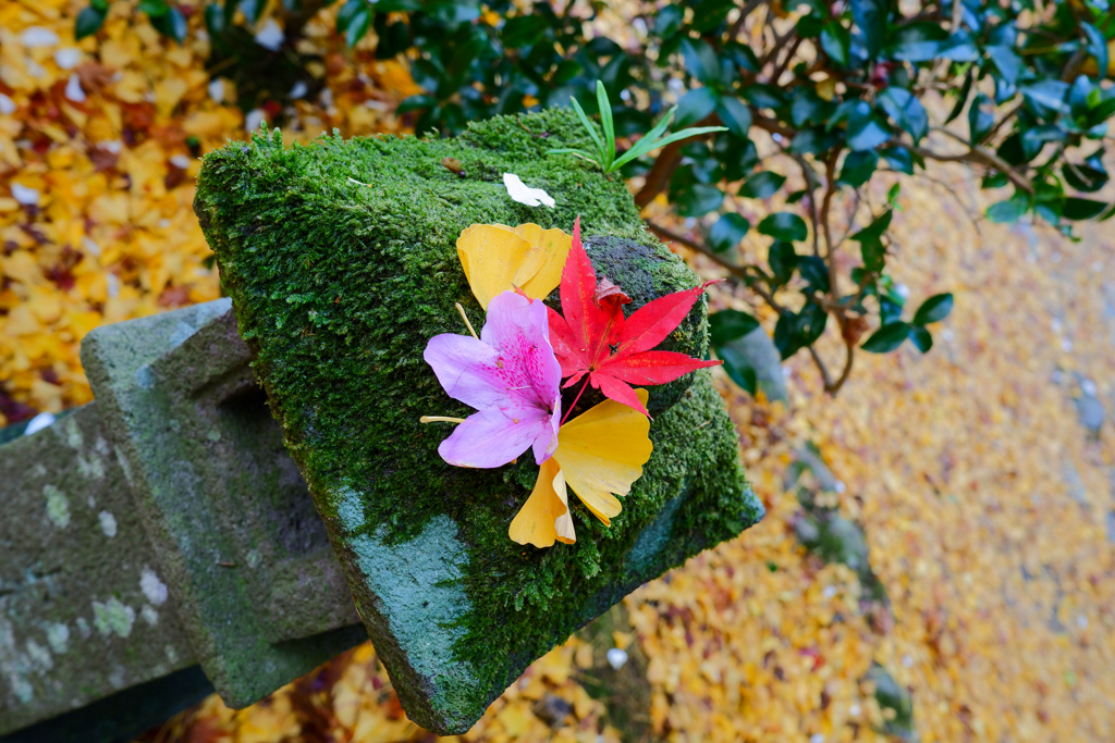 花飾り