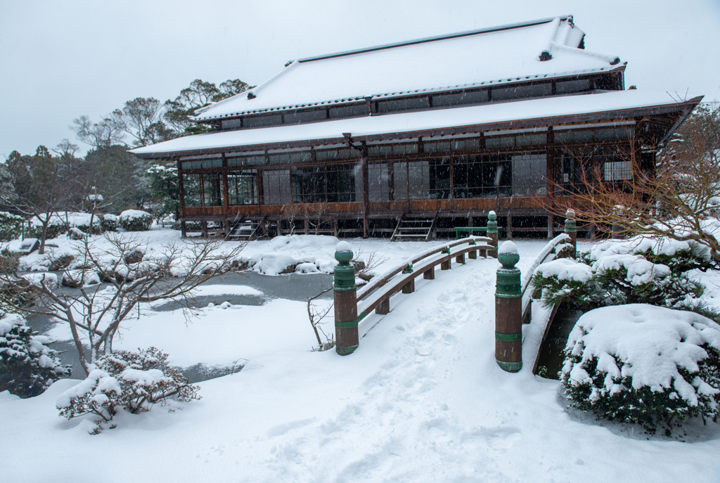 久しぶりの積雪―3