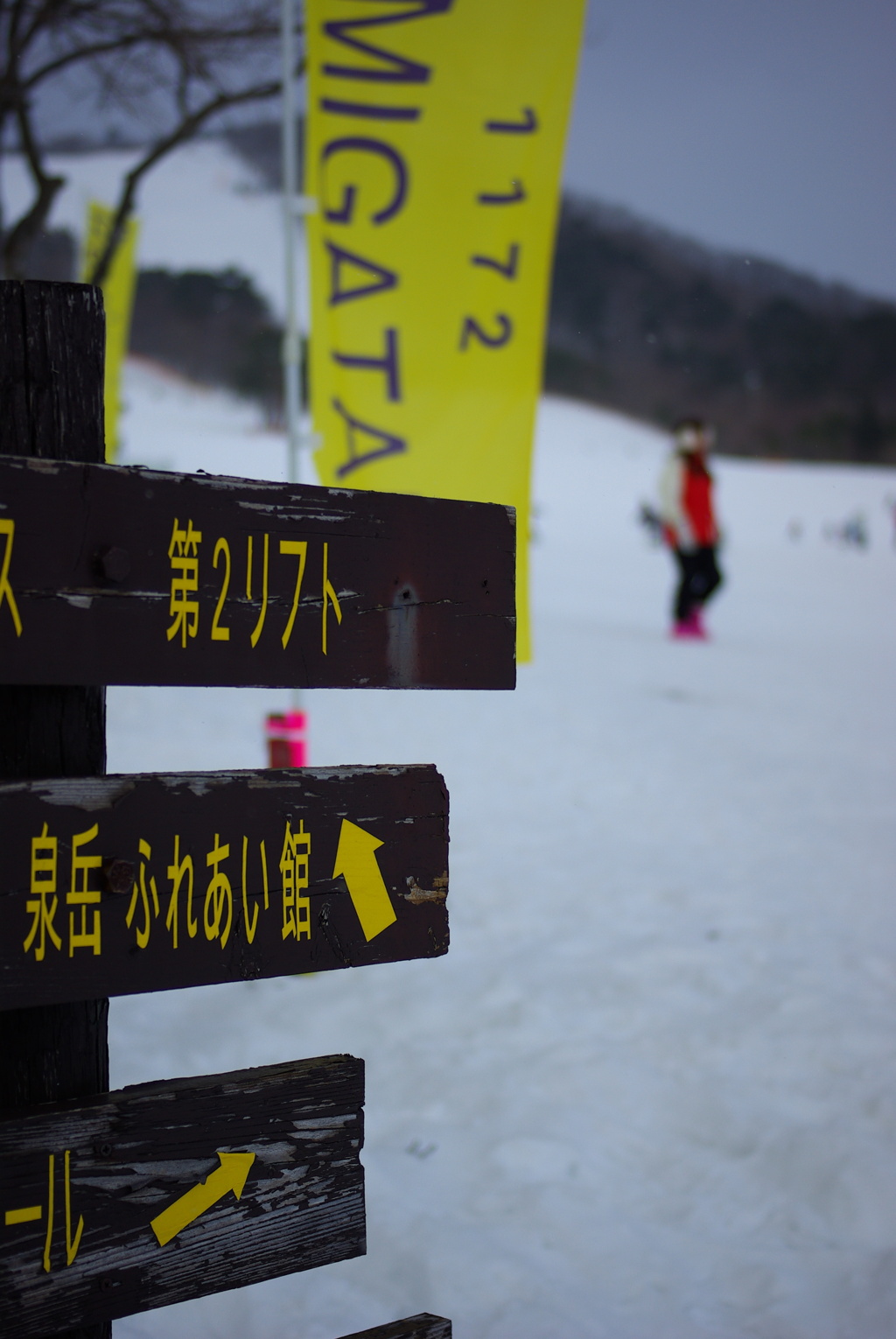 泉岳スキー場