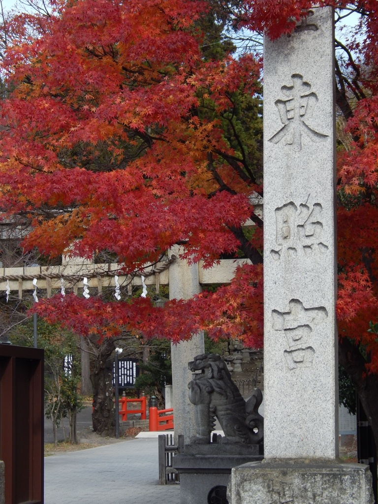 仙台東照宮の紅葉