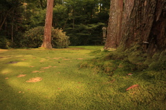 三千院3