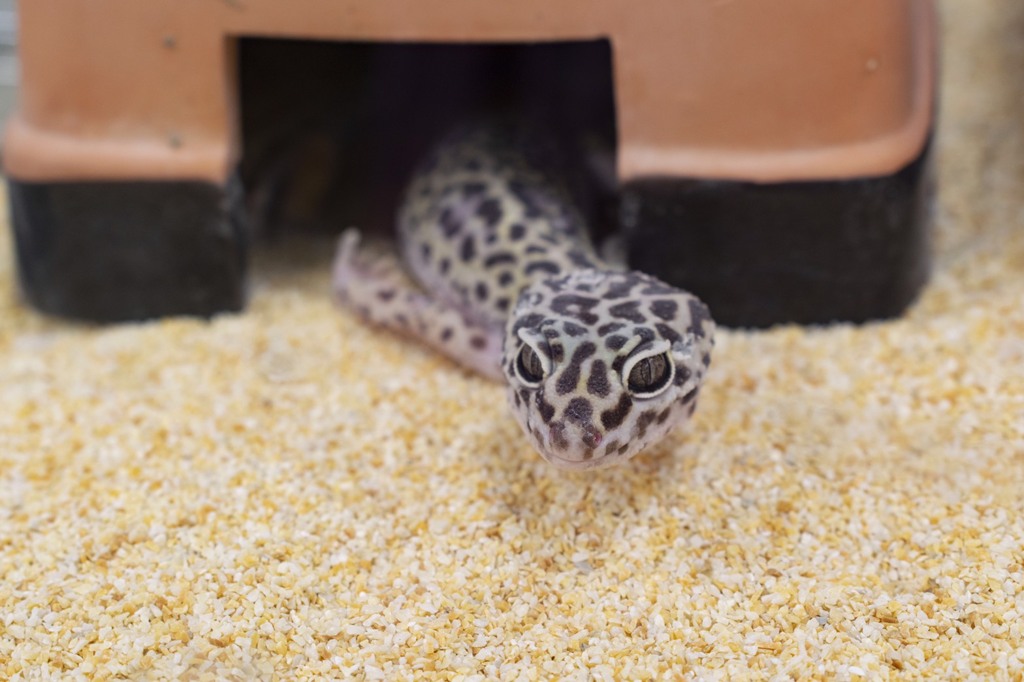 ノアパブリッシメント 