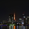 豊洲ぐるり公園からの夜景 ①