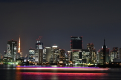 豊洲ぐるり公園からの夜景 ②