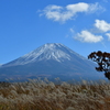 すすきと富士山