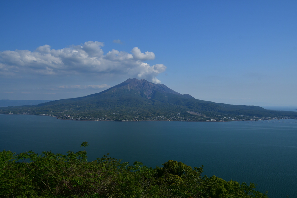 桜島