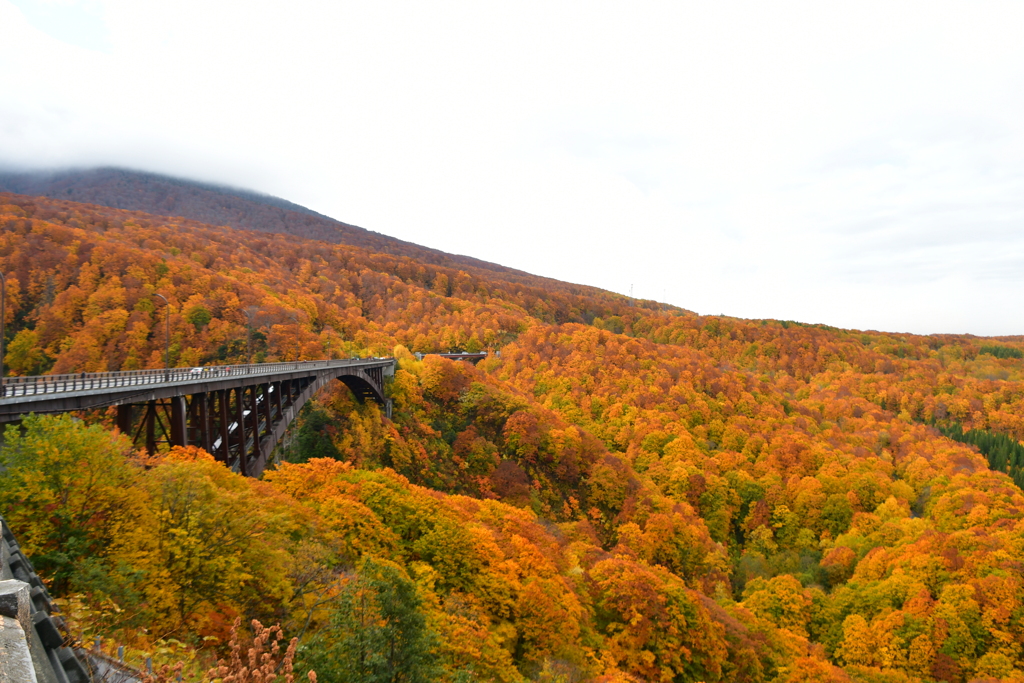 城ヶ倉大橋の紅葉