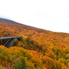 城ヶ倉大橋の紅葉