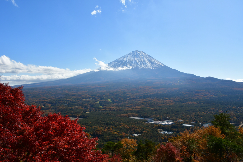 紅葉台からの富士山