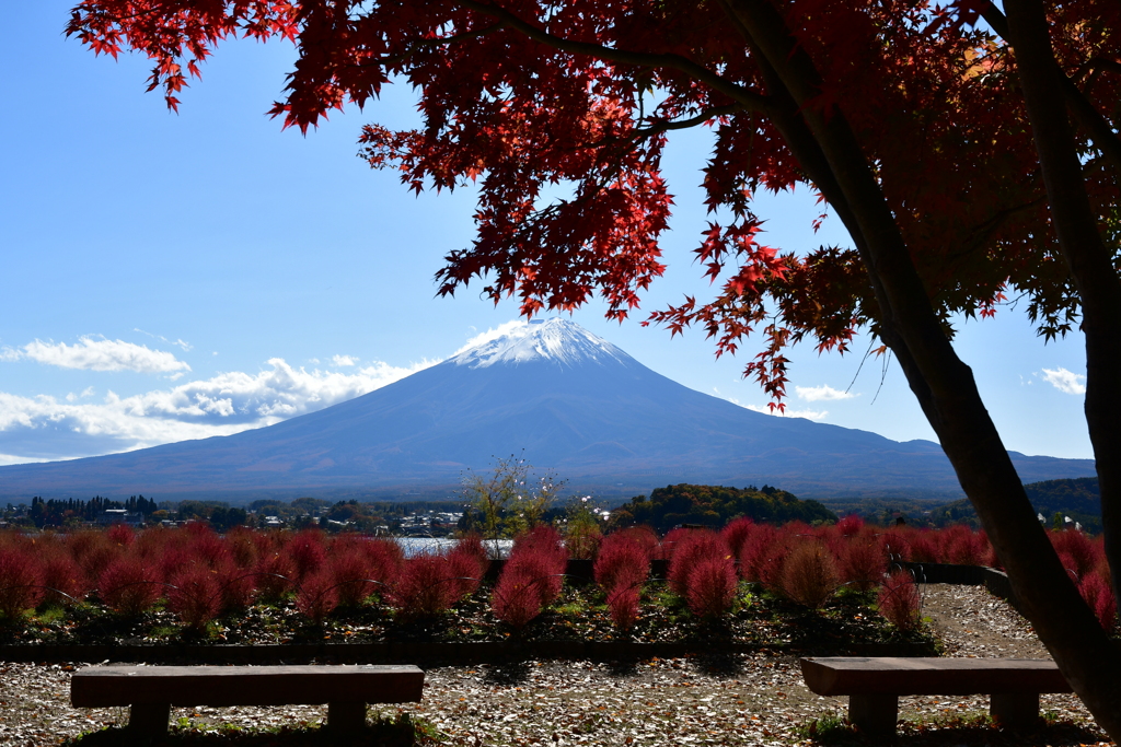 大石公園