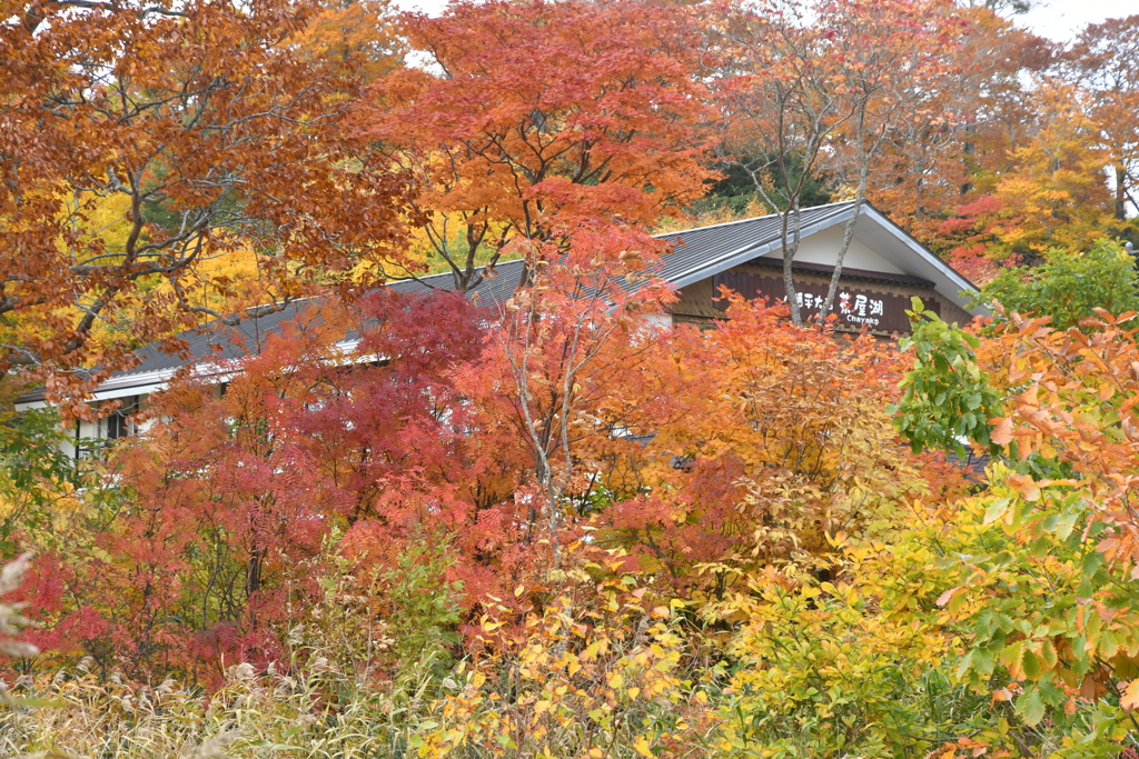八幡平